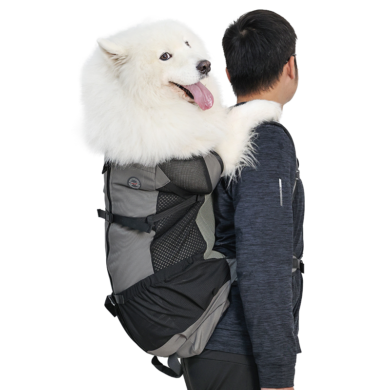 Outdoor Adventure Farm - Nefes Alabilen File Büyük Köpek Sırt